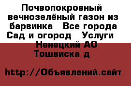 Почвопокровный, вечнозелёный газон из барвинка - Все города Сад и огород » Услуги   . Ненецкий АО,Тошвиска д.